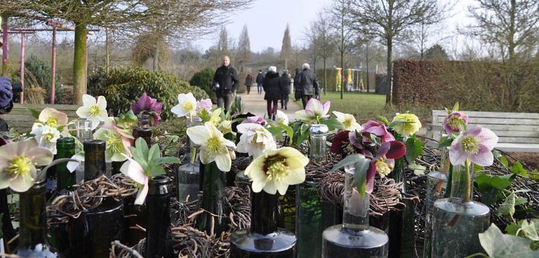 Blütenpracht im Park der Gärten